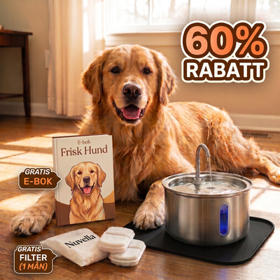 Nuvella™ Hundfontän