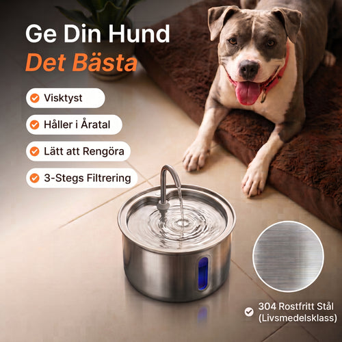Nuvella™ Hundfontän