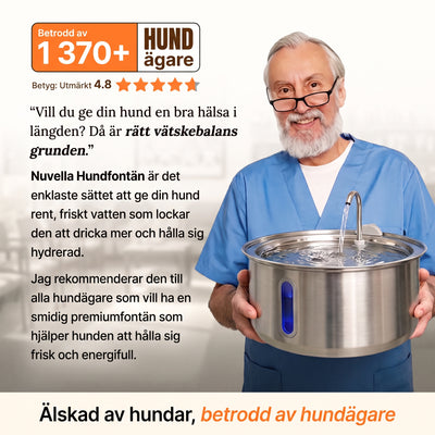 Nuvella™ Hundfontän