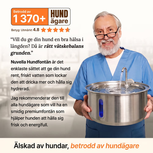 Nuvella™ Hundfontän